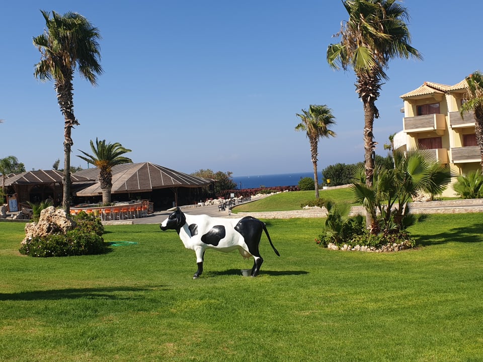 Gartenanlage Hotel Kalithea Horizon Royal