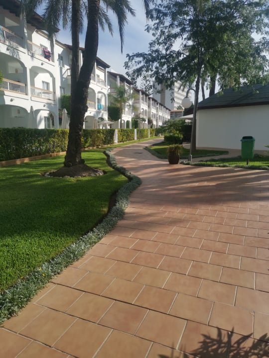 Gartenanlage Alcudia Garden Aparthotel