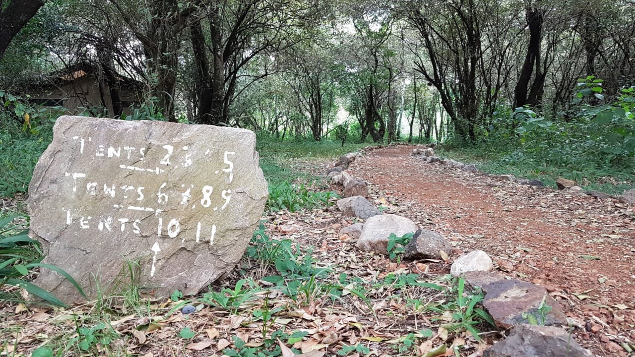 Gartenanlage Mara Bush Camp