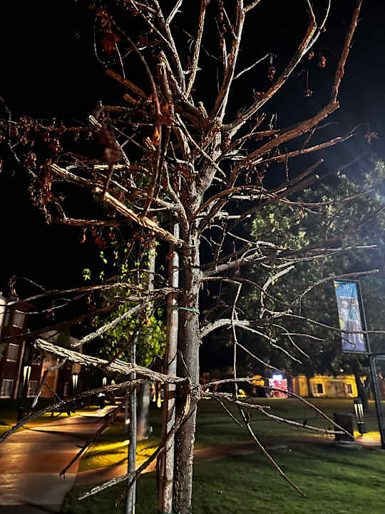 Gartenanlage Rixos Premium Tekirova