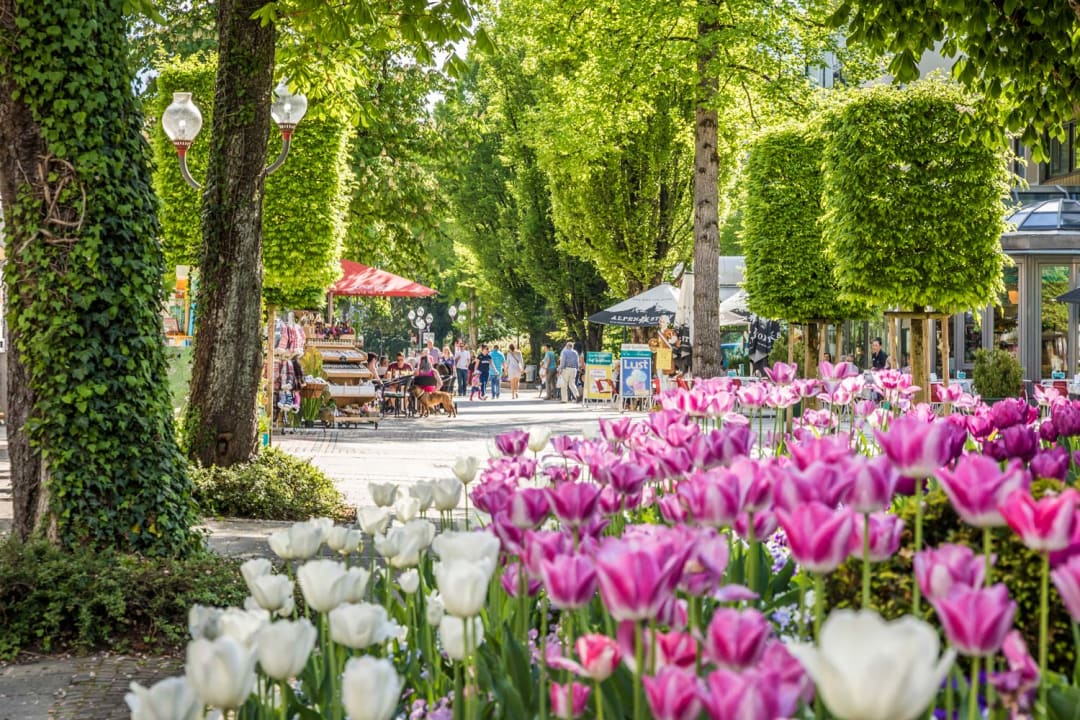 Sonstiges Alpen Air - exklusive Apartments