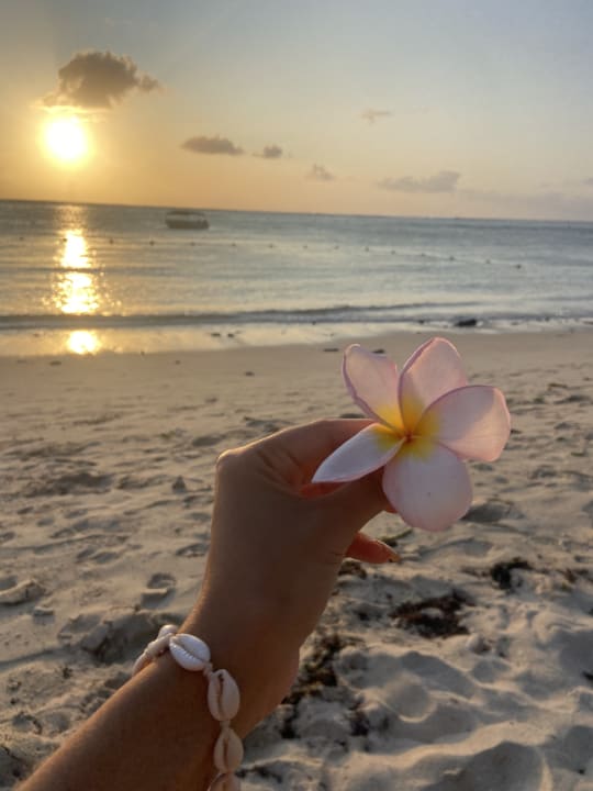 Gartenanlage Pearle Beach Resort & Spa