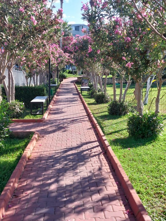 Gartenanlage Seher Kumköy Star Resort & Spa