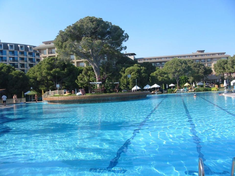 Pool Papillon Ayscha