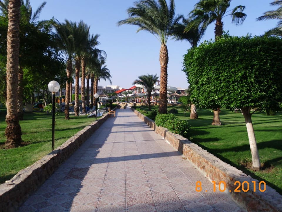 Weg zum Pool Beach Albatros Resort