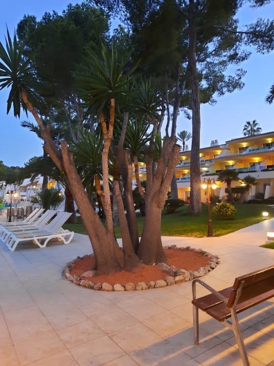 Gartenanlage Iberostar Waves Pinos Park