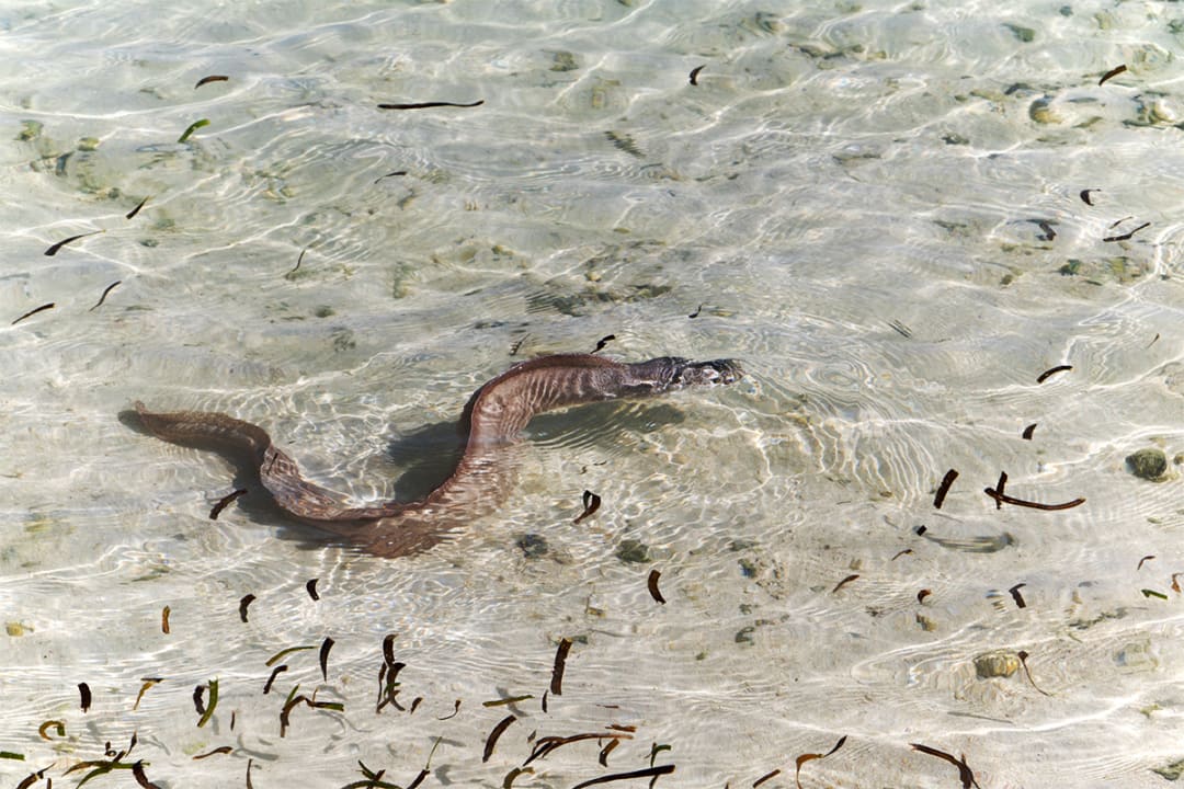 Strand Adaaran Select Hudhuran Fushi - Premium All Inclusive