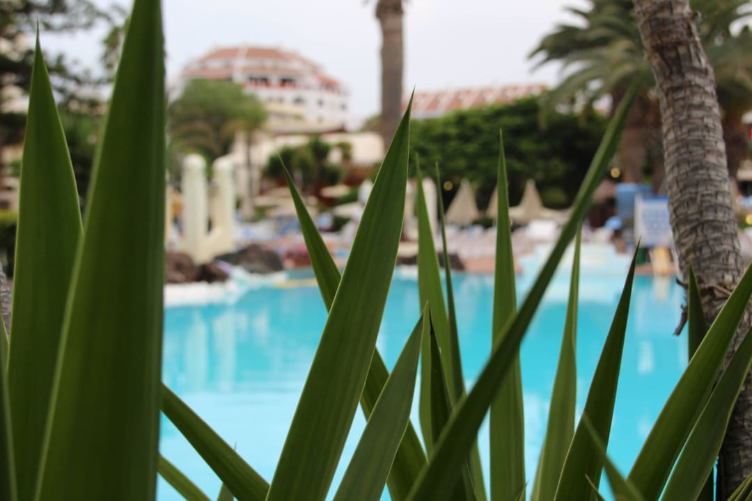 Hôtel H10 Las Palmeras - La Piscine 2015 H10 Las Palmeras