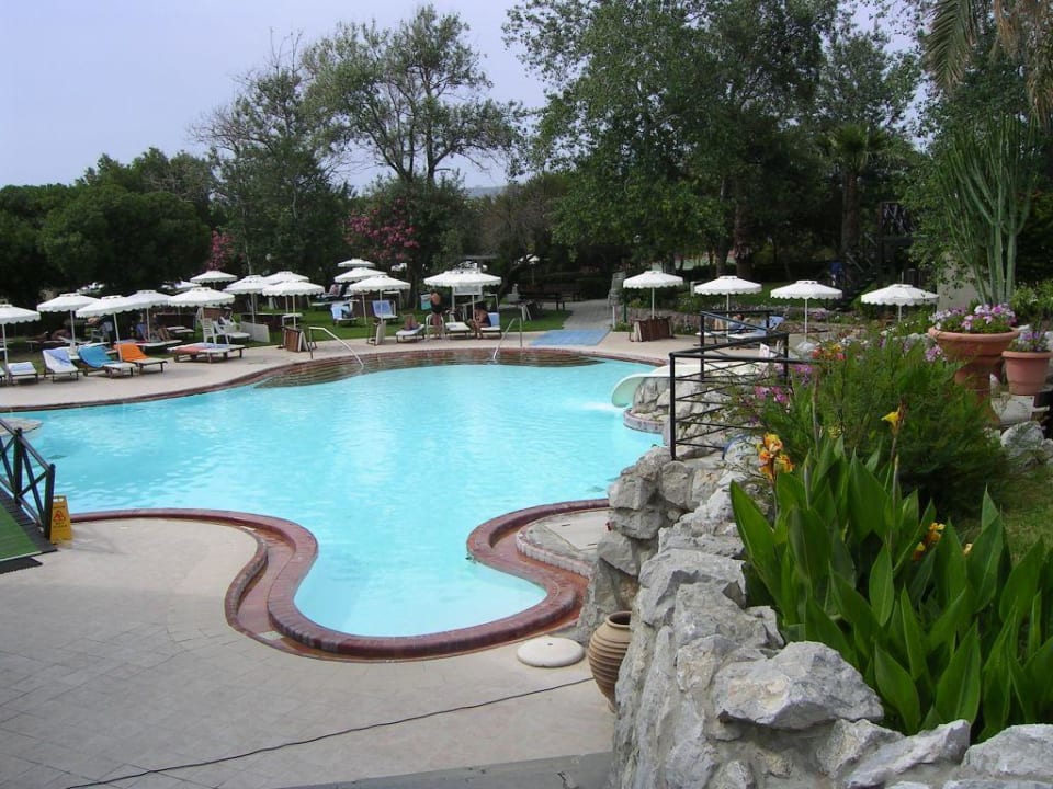 Pool Hotel Calypso Beach