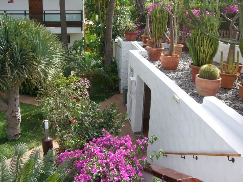 Treppe zur Rezeption Hotel Taboga