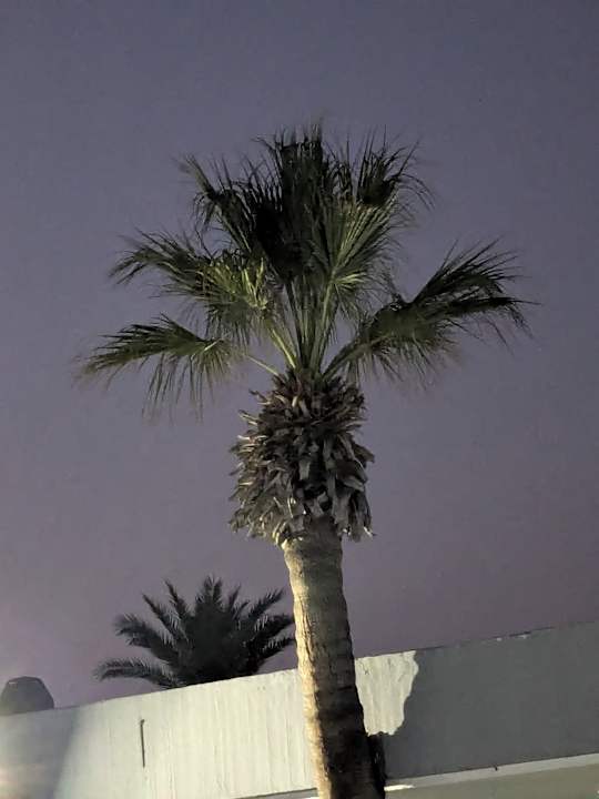 Pool Calimera One Resort Jockey