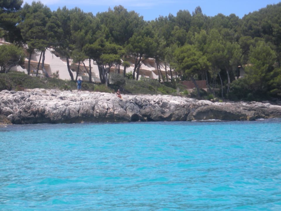 Ausblick vom Treetboot Iberostar Waves Pinos Park