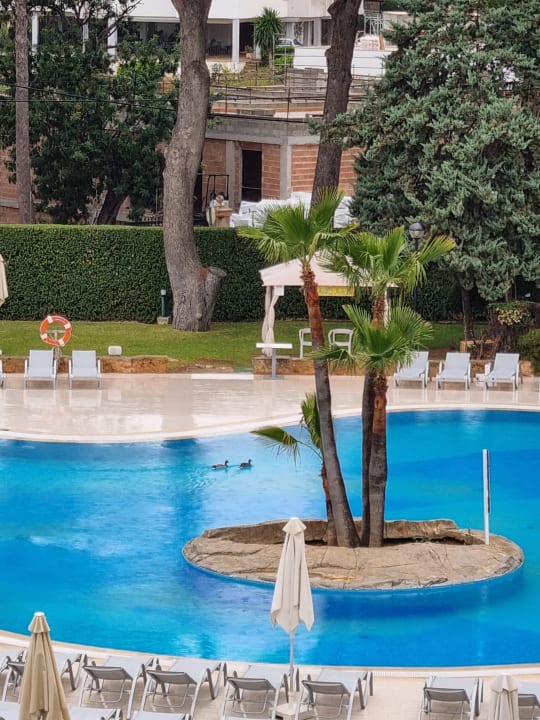 Ausblick BQ Belvedere Hotel