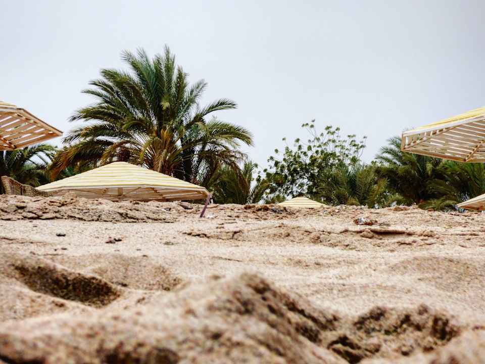 Sandstrand Menaville Safaga