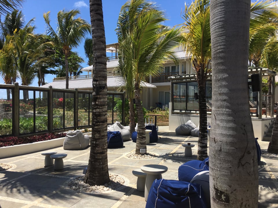 Bar Lagoon Attitude - Adults only