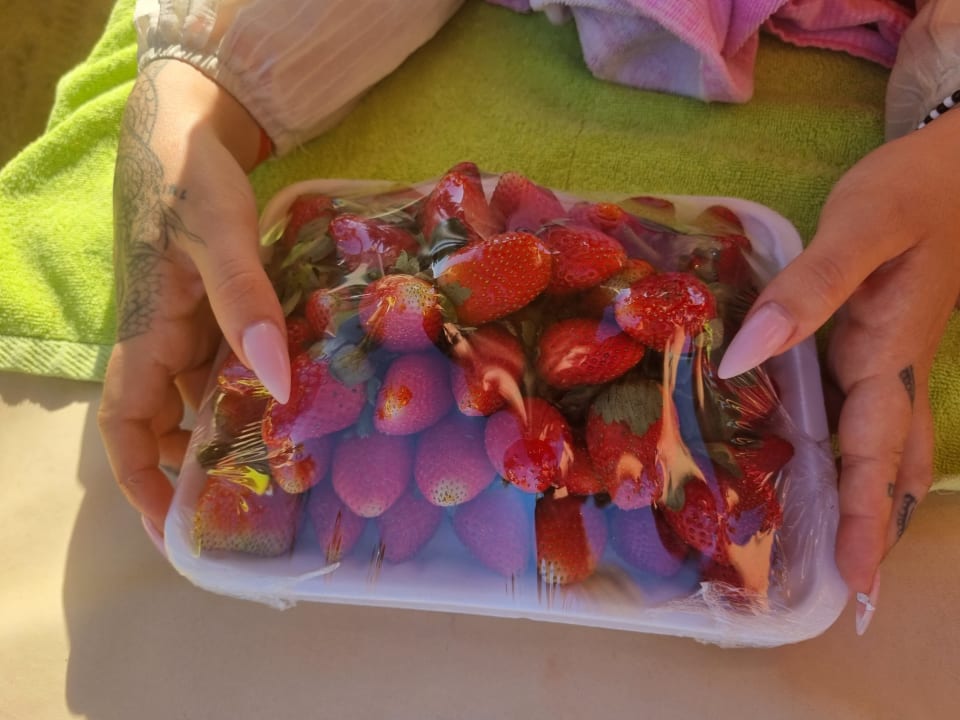 Gastro Seagull Beach Resort