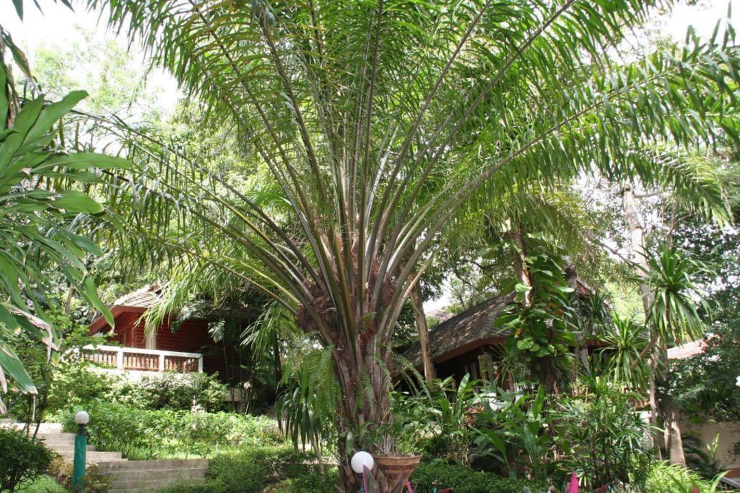 Fair House Beach The Fair House Beach Resort