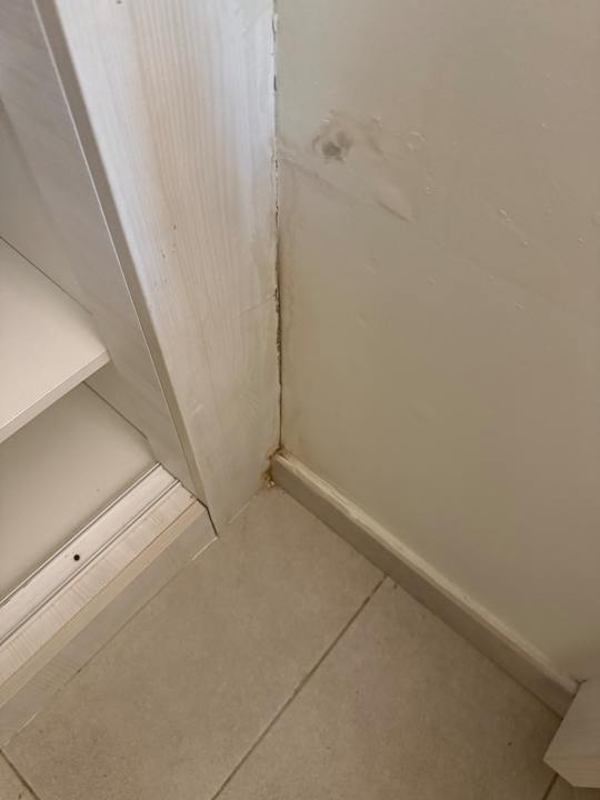 Zimmer Fergus Cactus Garden