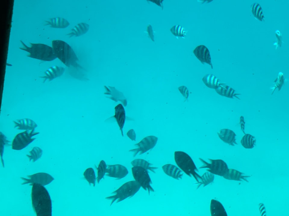 Sport & Freizeit Titanic Beach Spa & Aqua Park