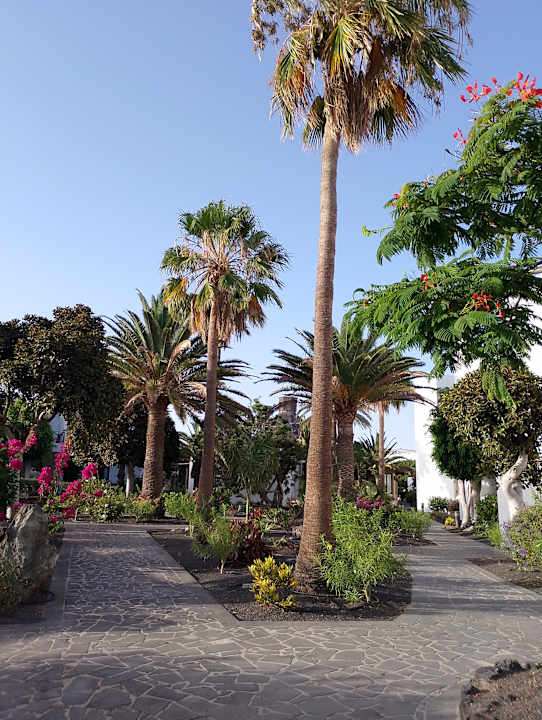 Gartenanlage allsun App.-Hotel Albatros