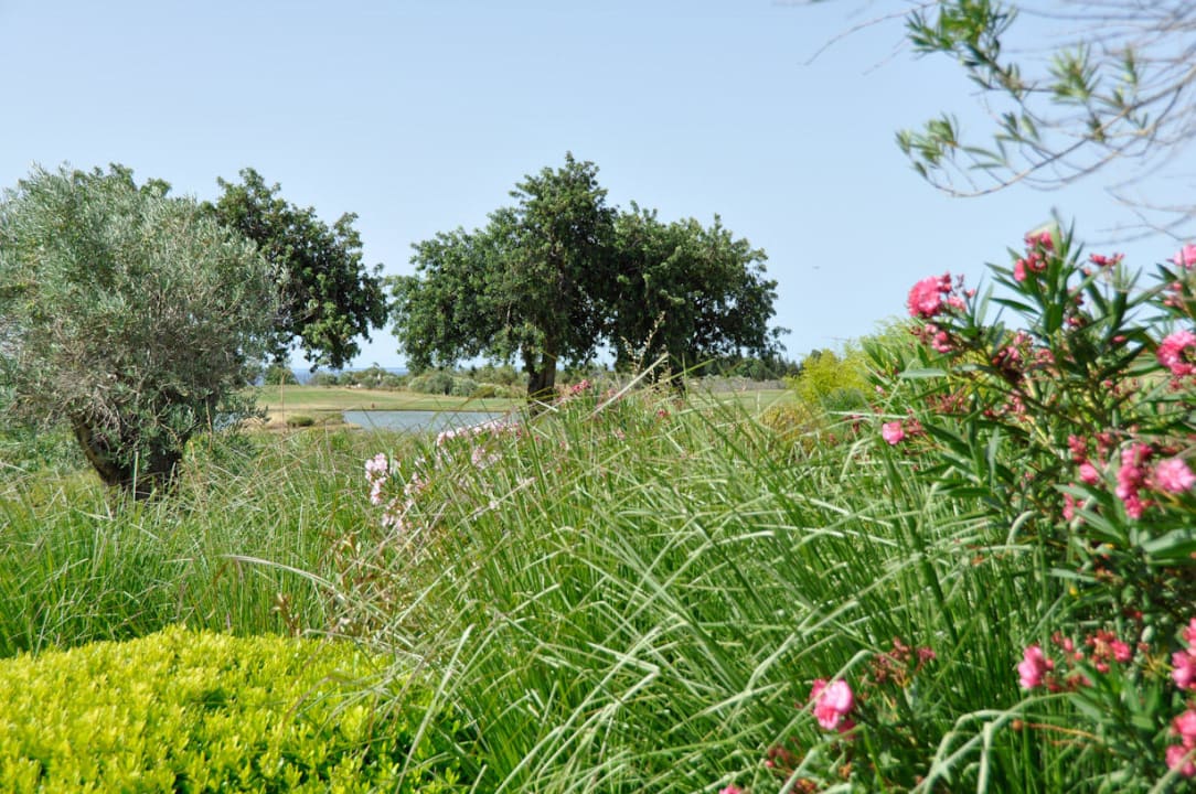 Blick auf den Golfplatz ROBINSON QUINTA DA RIA