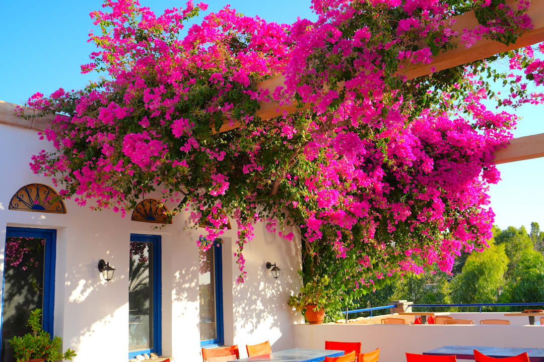 Außenansicht Ekaterini Hotel