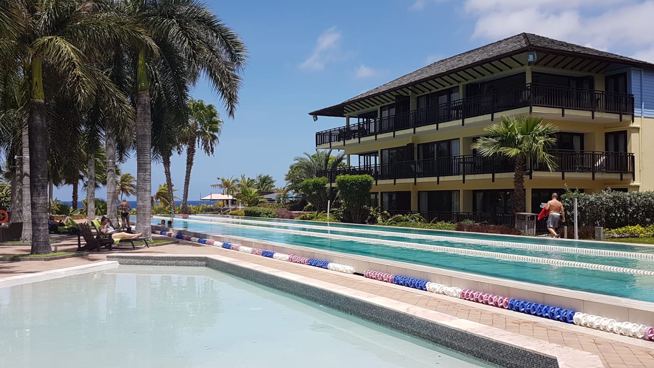 Pool LionsDive Beach Resort