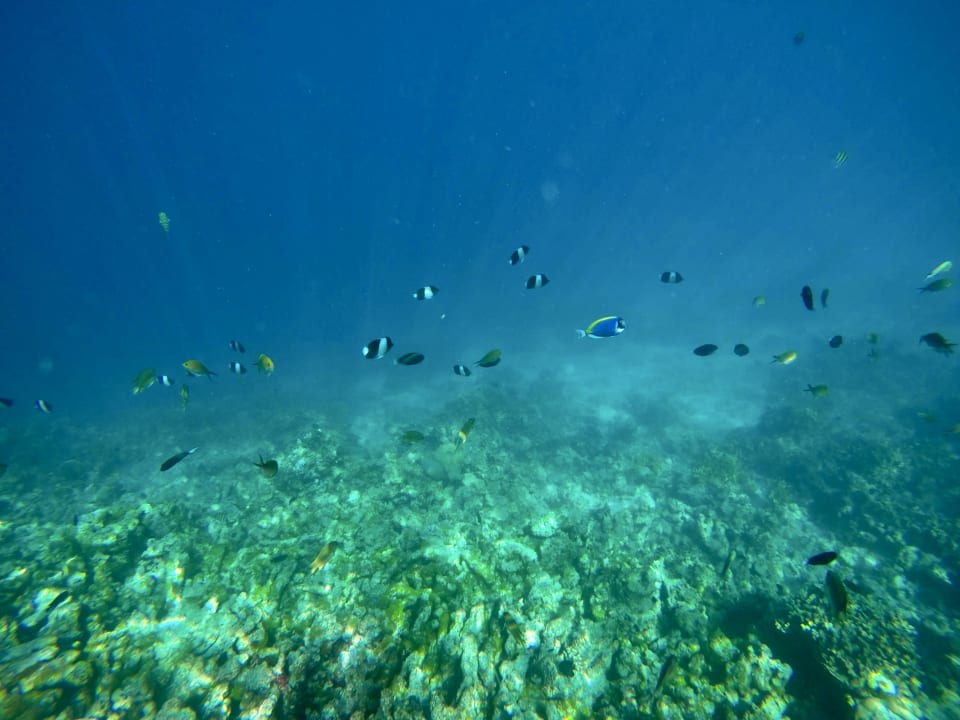 Sport & Freizeit Cinnamon Dhonveli Maldives