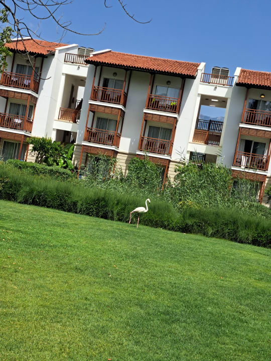 Außenansicht Rixos Premium Tekirova