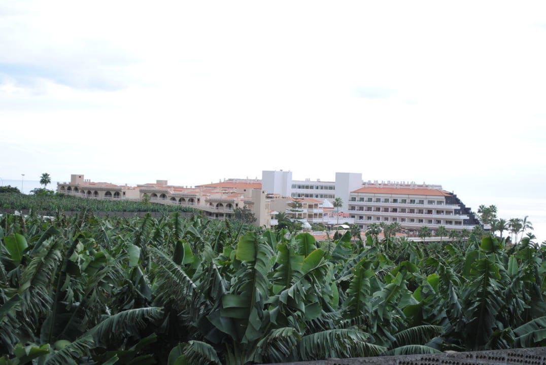 Blick von der Hauptstrasse Puerto Naos - El Remo  Melia La Palma Hotel