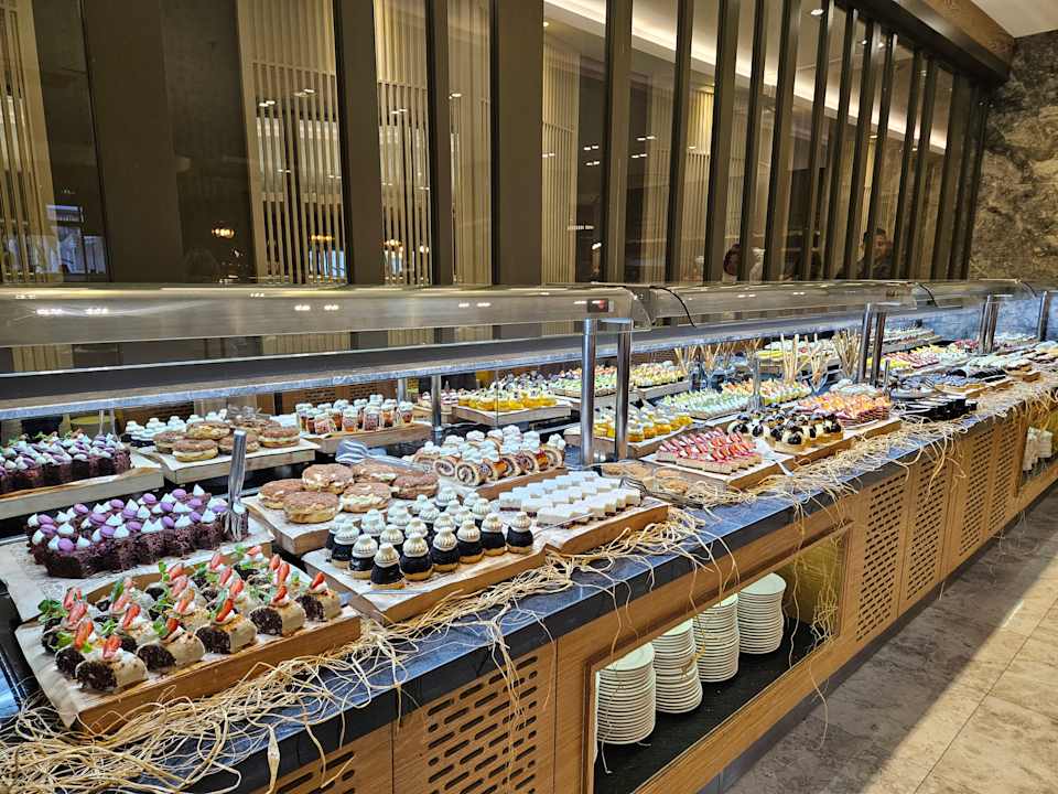 Gastro Seashell Vega