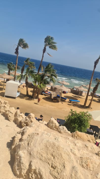 Strand Pickalbatros Citadel Resort