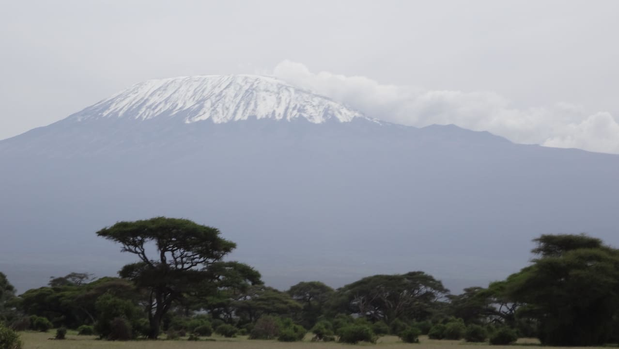 Kilimanjaro Kilima Safari Camp