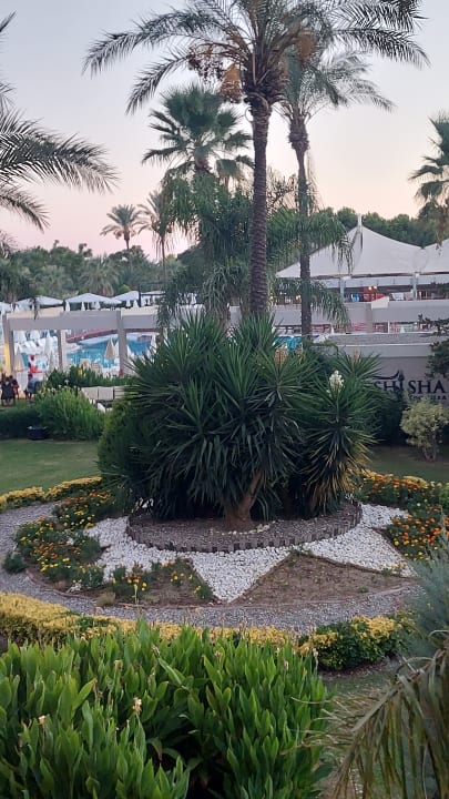 Gartenanlage Sunis Elita Beach Resort & Spa
