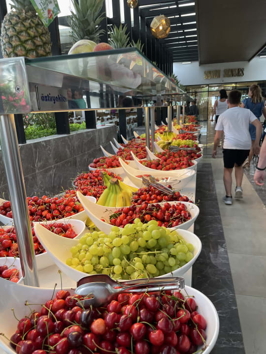 Gastro Monachus Family Resort Sorgun