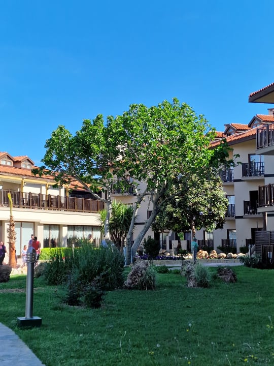 Gartenanlage Alba Resort Hotel