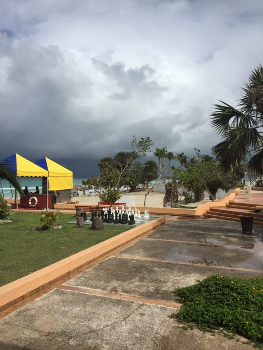 Strand Starfish Cuatro Palmas