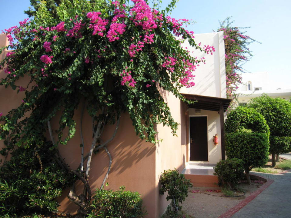 Gepflegte Blumen bei allen Häusern Kipriotis Village Resort