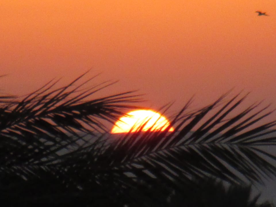 Ausblick Giftun Azur Resort