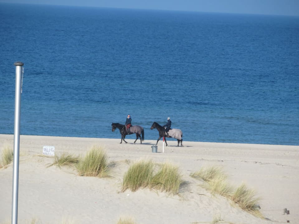 Ausblick auf 2 Reiter am Strand. Villa Meerblick