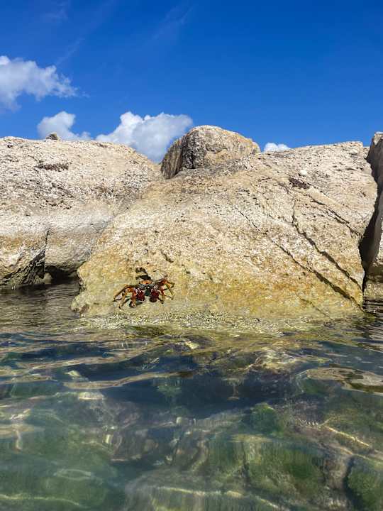 Strand Royalton Negril Resort & Spa