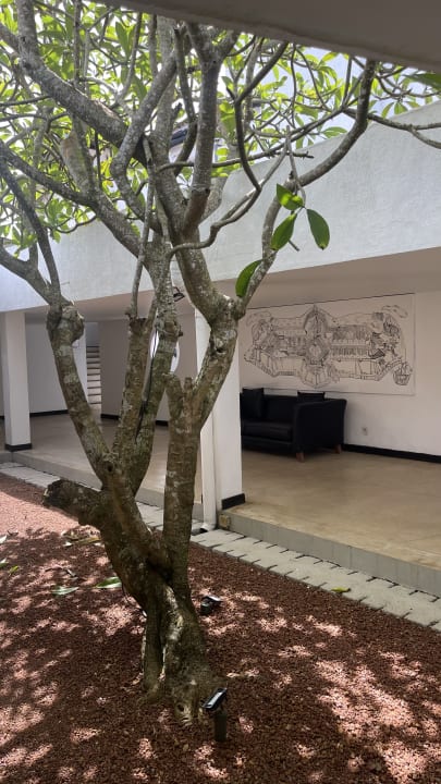 Außenansicht Thaala Bentota