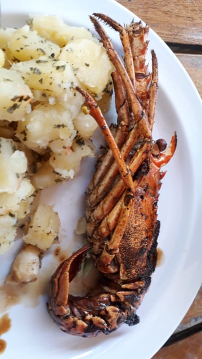 Gastro Iberostar Waves Punta Cana