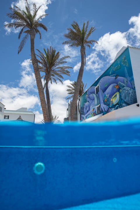 Pool Surfing Colors
