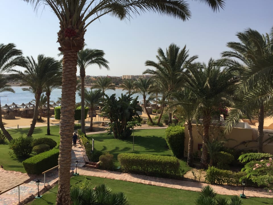 Gartenanlage Steigenberger Coraya Beach - Adults only