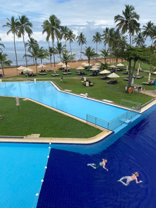 Pool Club Hotel Dolphin
