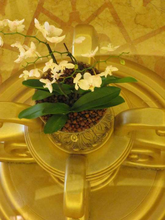 Blumen Emirates Palace Mandarin Oriental