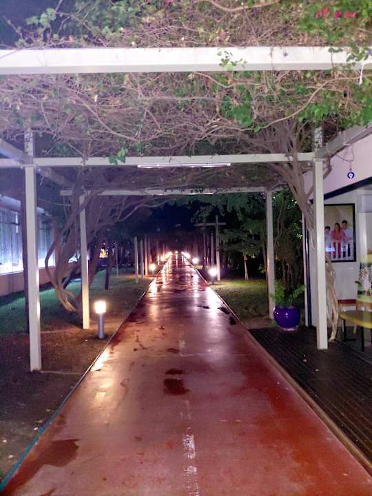 Gartenanlage Saturn Palace Resort Hotel