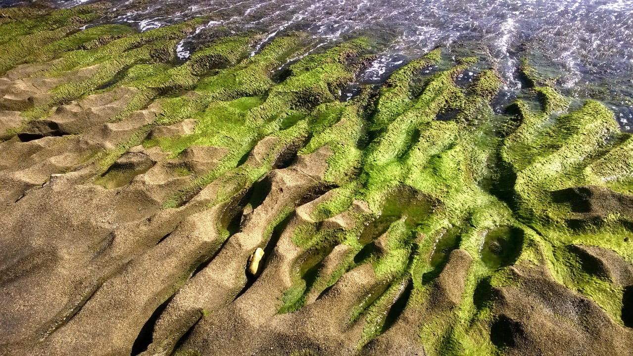 Felsenplatte am Strand Quattro Beach Spa & Resort