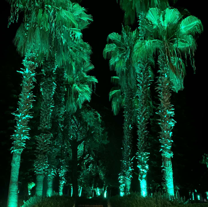 Gartenanlage TUI MAGIC LIFE Beldibi +16